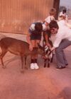 19810899_012.jpg