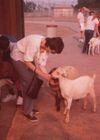 19810899_014.jpg