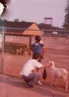 19810899_015.jpg