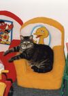 19919999_013.jpg