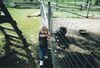 20050917_004.jpg