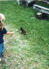 20060499_001.jpg