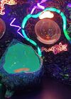 20240328_041.jpg