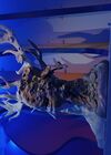 20240328_215.jpg