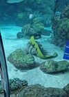 20240329_017.jpg