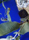 20240329_026.jpg