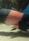 20240329_032.jpg