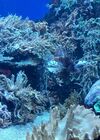 20240329_045.jpg