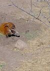 20240413_009.jpg