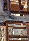 20240413_016.jpg