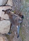20240413_031.jpg