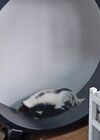 20240413_052.jpg