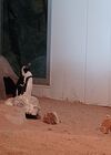 20240413_058.jpg