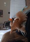 20240517_002.jpg