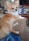 20240813_001.jpg