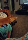 20240818_001.jpg