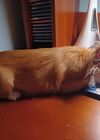 20240821_005.jpg