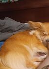20240902_001.jpg