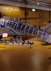 20240919_020.jpg