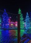 20241220_048.jpg