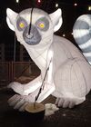 20241220_055.jpg