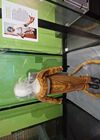 20250104_085.jpg