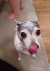 20250127_003.jpg
