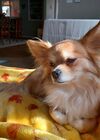 20250208_003.jpg