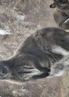 20250328_030.jpg
