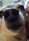 20250409_005.jpg