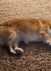 20250418_001.jpg