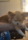 20250419_003.jpg