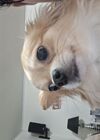 20250531_004.jpg