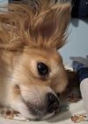 20250708_001.jpg