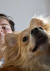 20250729_001.jpg