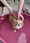 20250805_003.jpg