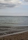 20250811_008.jpg