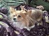 20251221_001.jpg